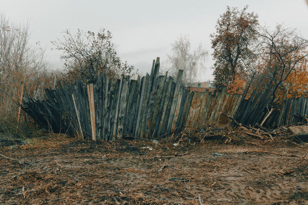 Photograph by Елена Леонидовна