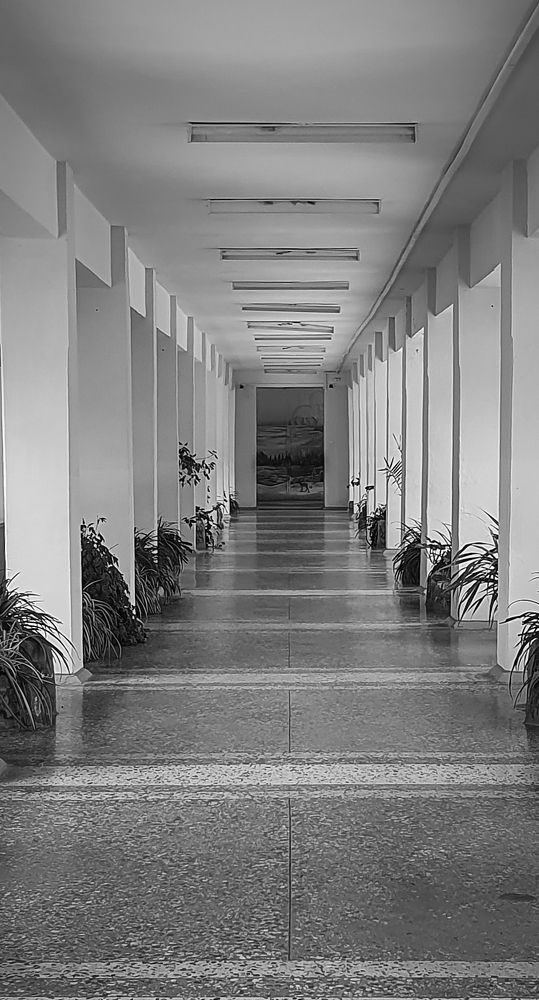 Photograph by Кристина Дугина