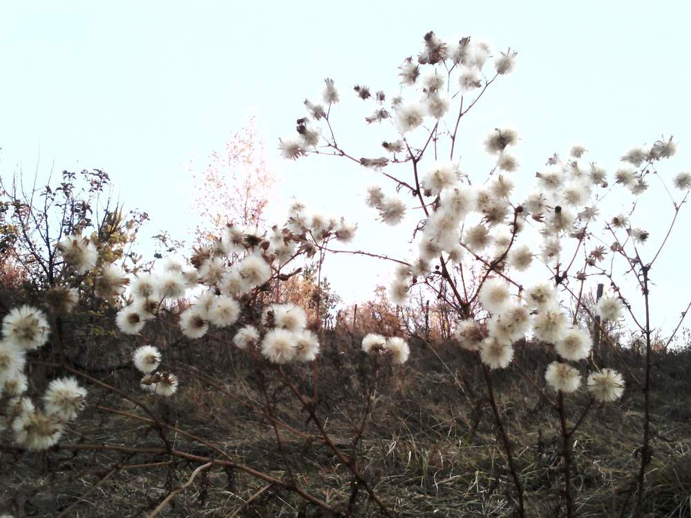 Photograph by Наталья БАЛАБАЕВА