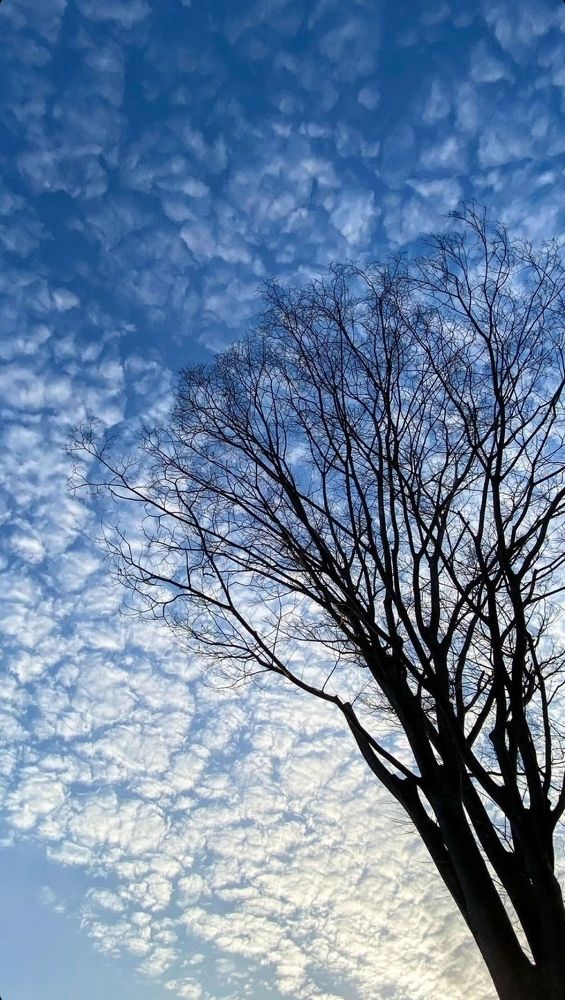 Photograph by Adithyan (Aady)