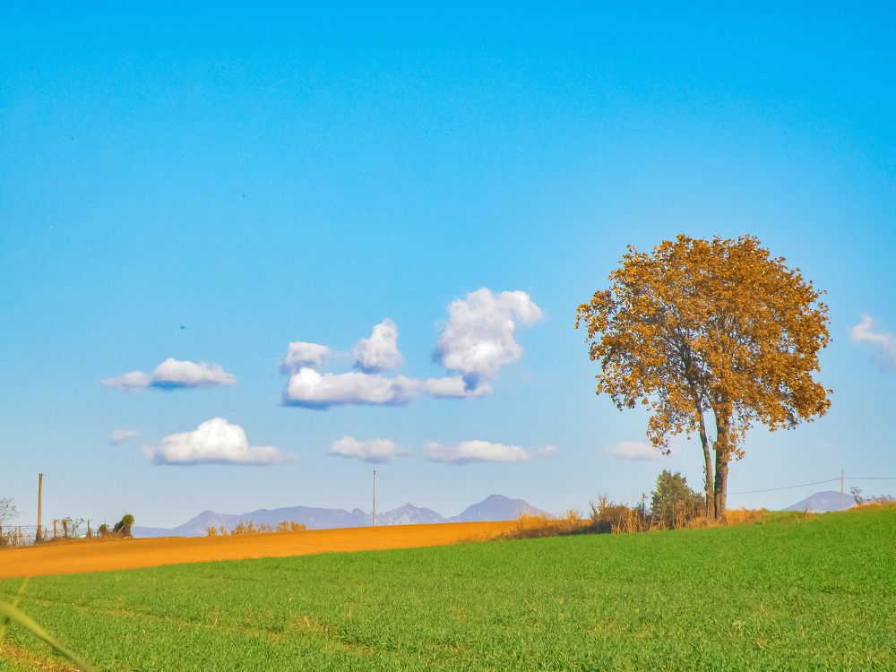 Фотография автора Angelo Dolci