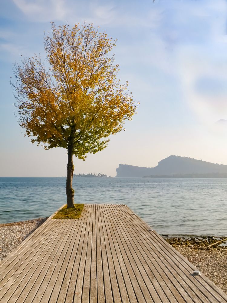 Фотография автора Angelo Dolci