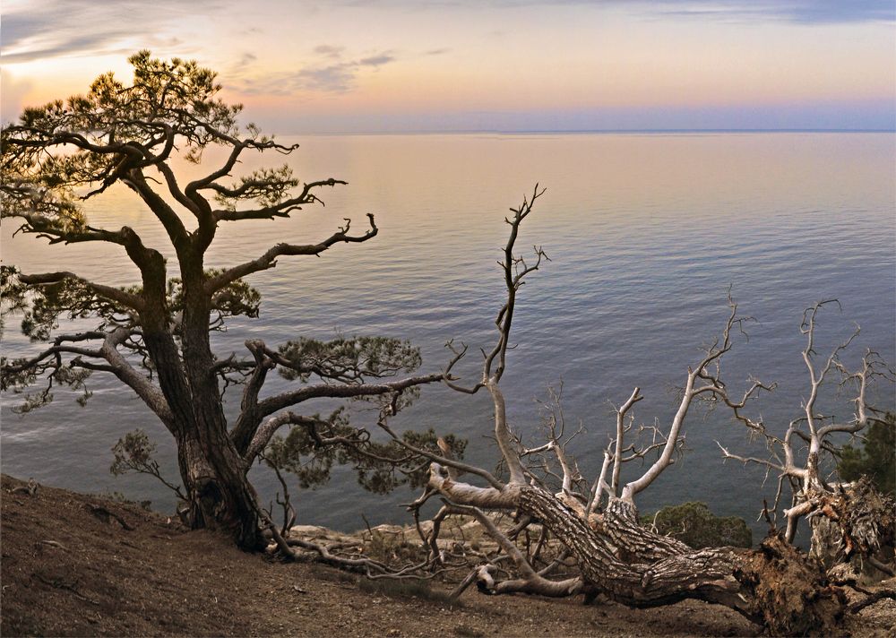 Photograph by Евгений Самулев