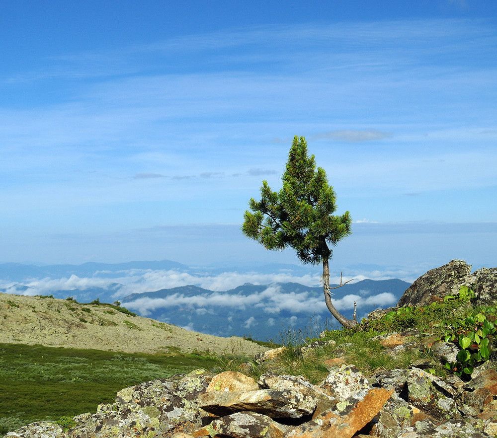 Photograph by Дмитрий Ткаченко