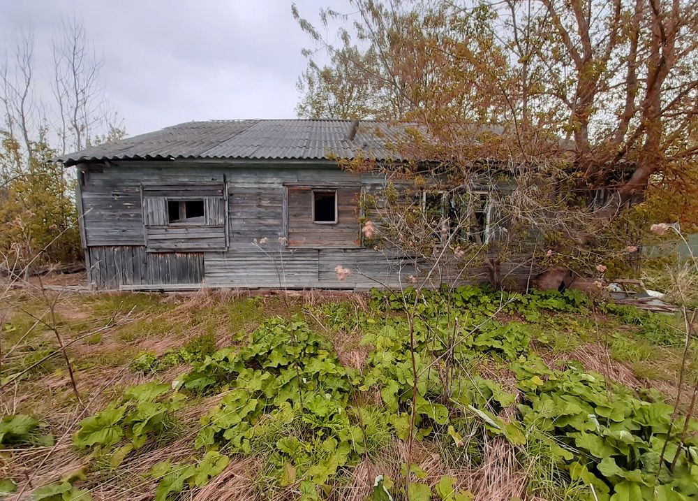 Photograph by Екатерина