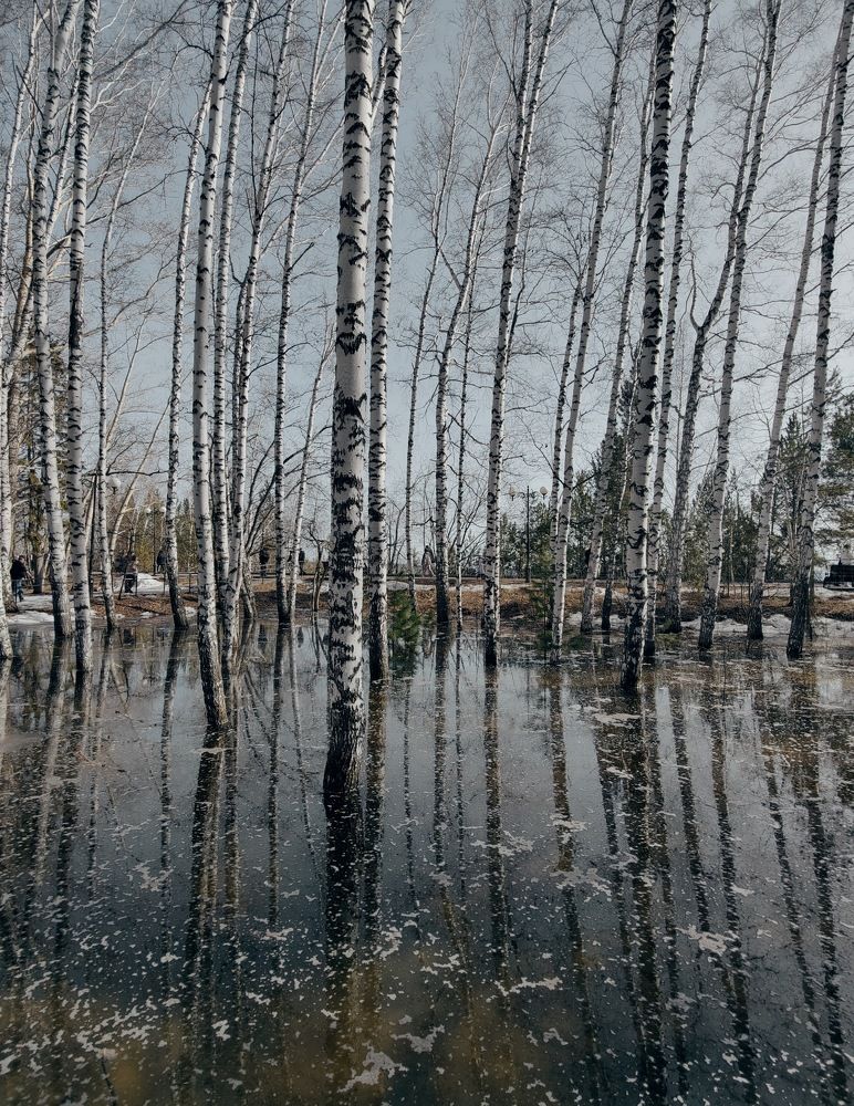 Photograph by Татьяна Гулакова