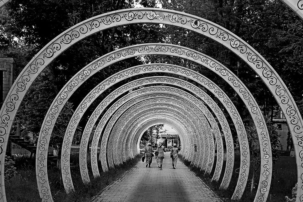 Photograph by Диана Токаревич