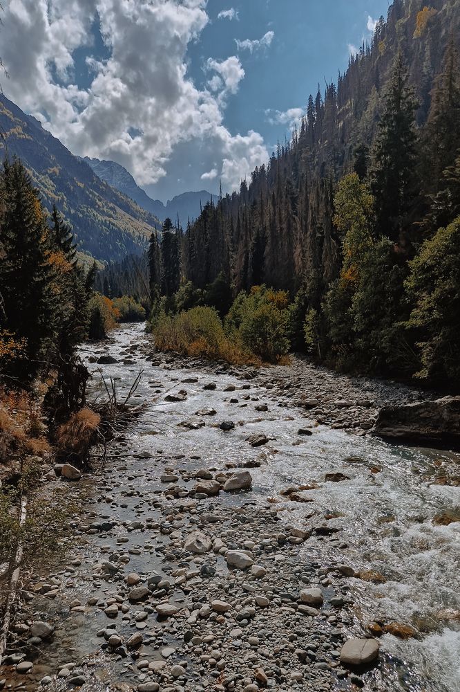 Photograph by Ангелина Ледовская