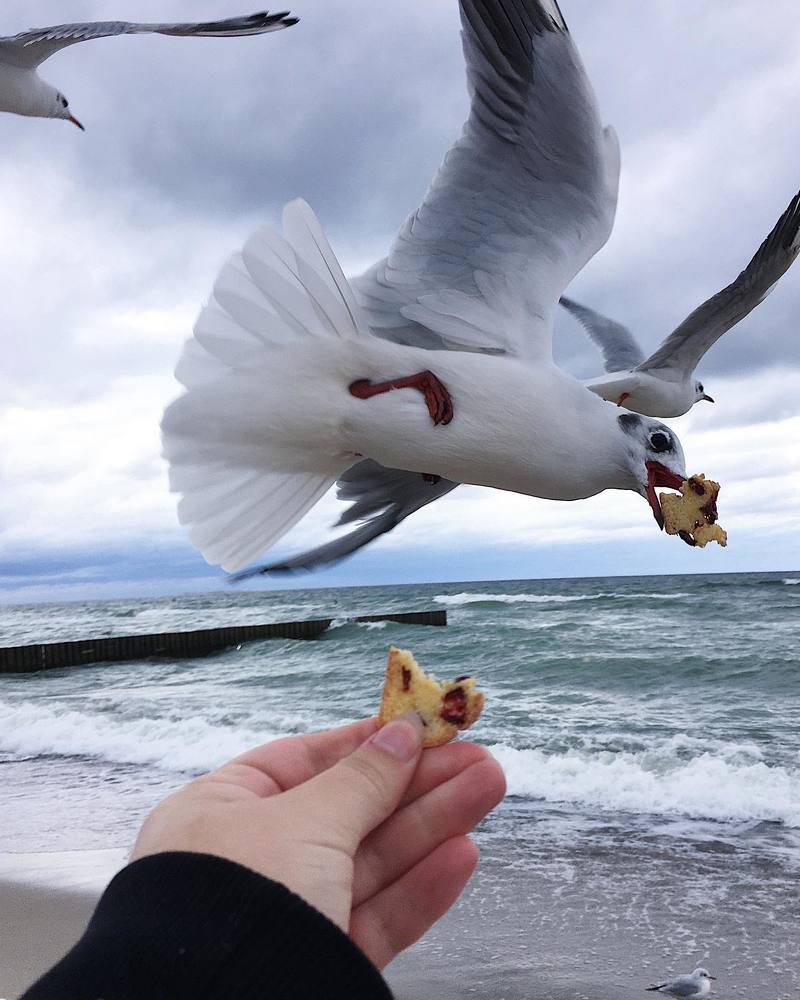 Photograph by Алёна Митькина