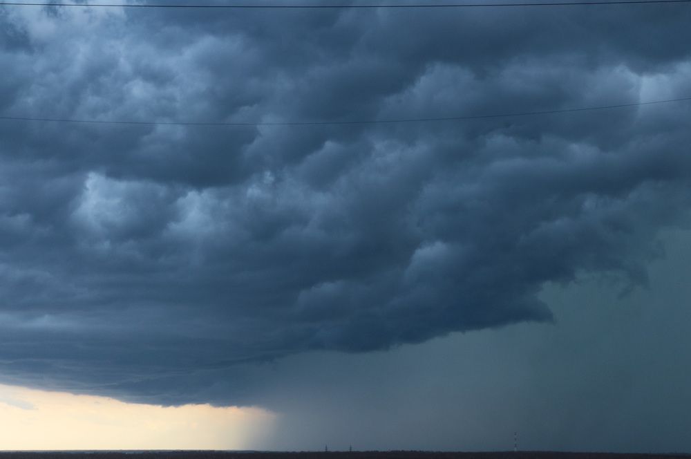 Photograph by Natasha Kim