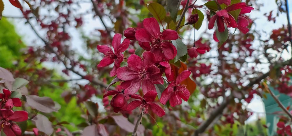 Photograph by Natasha Kim