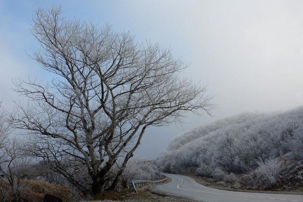 Фотография автора Садыков