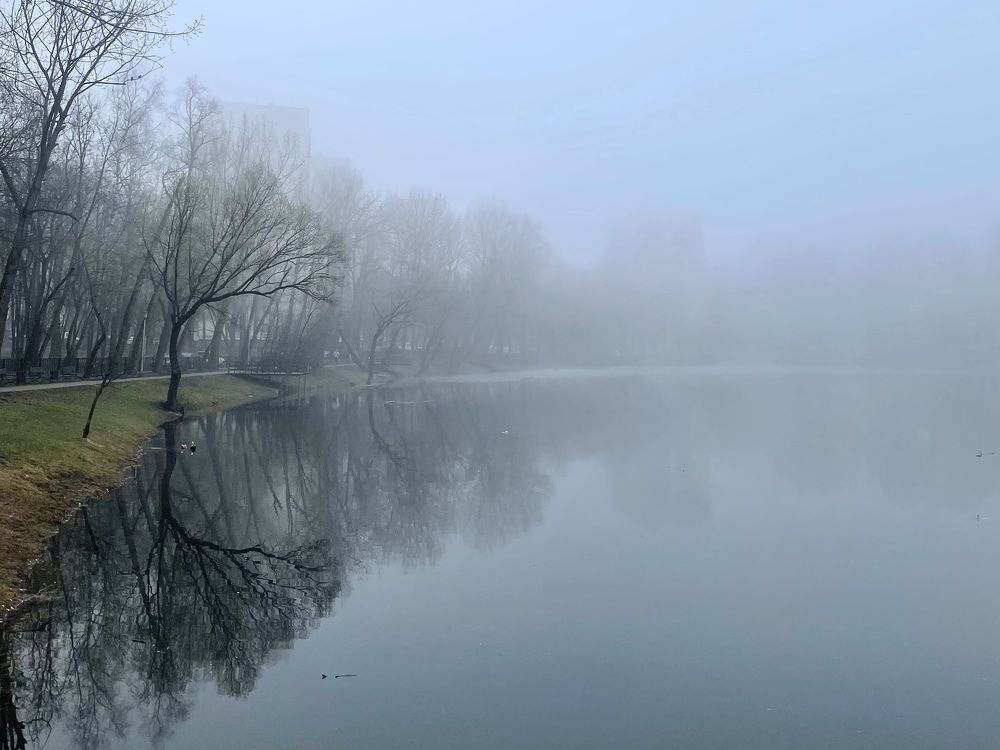 Photograph by Олеся Легостаева