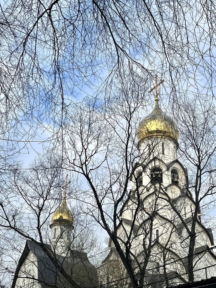 Photograph by Олеся Легостаева