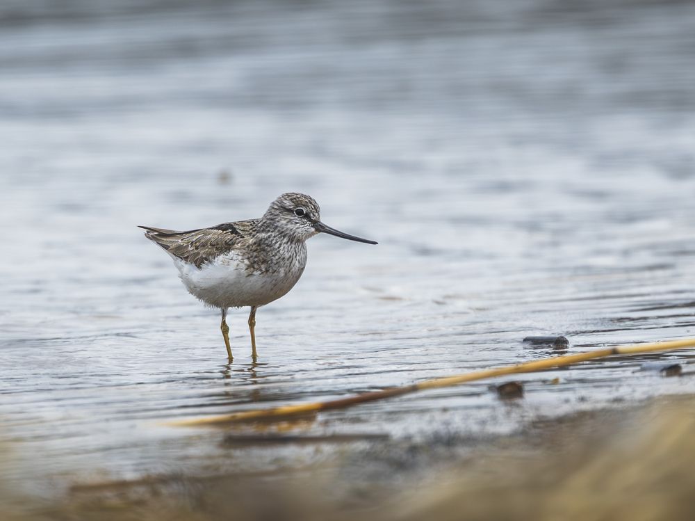 Photograph by Алексей Крылов