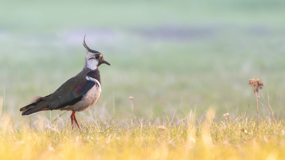 Photograph by Алексей Крылов