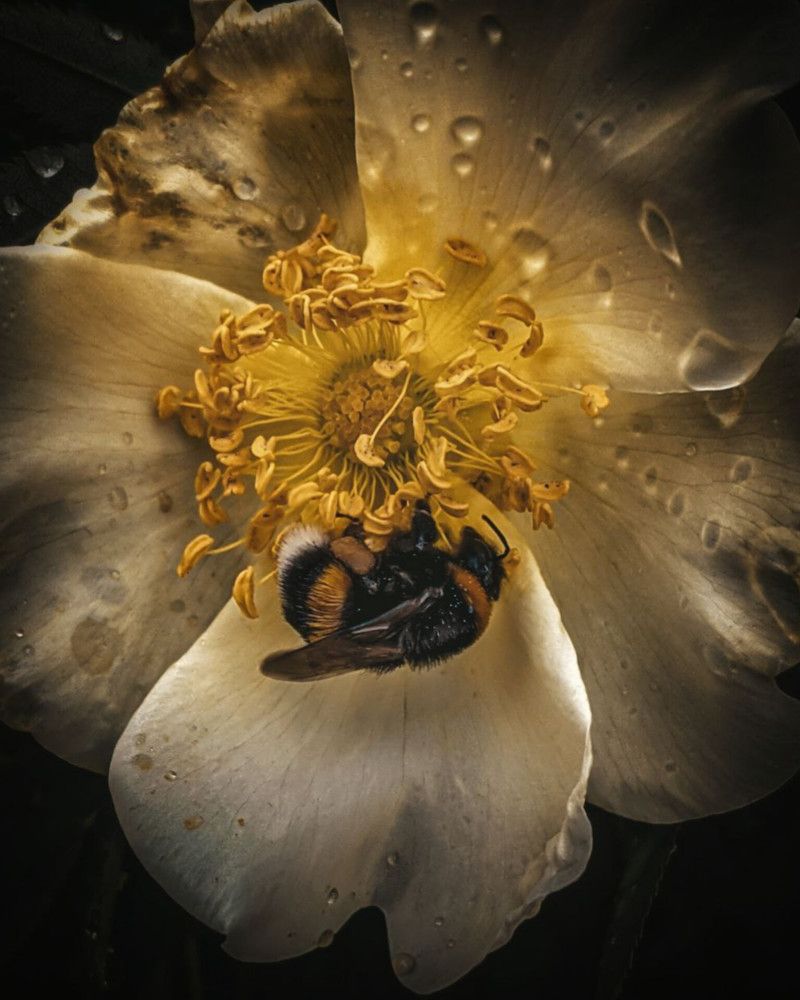 Photograph by Дарья Макаревич