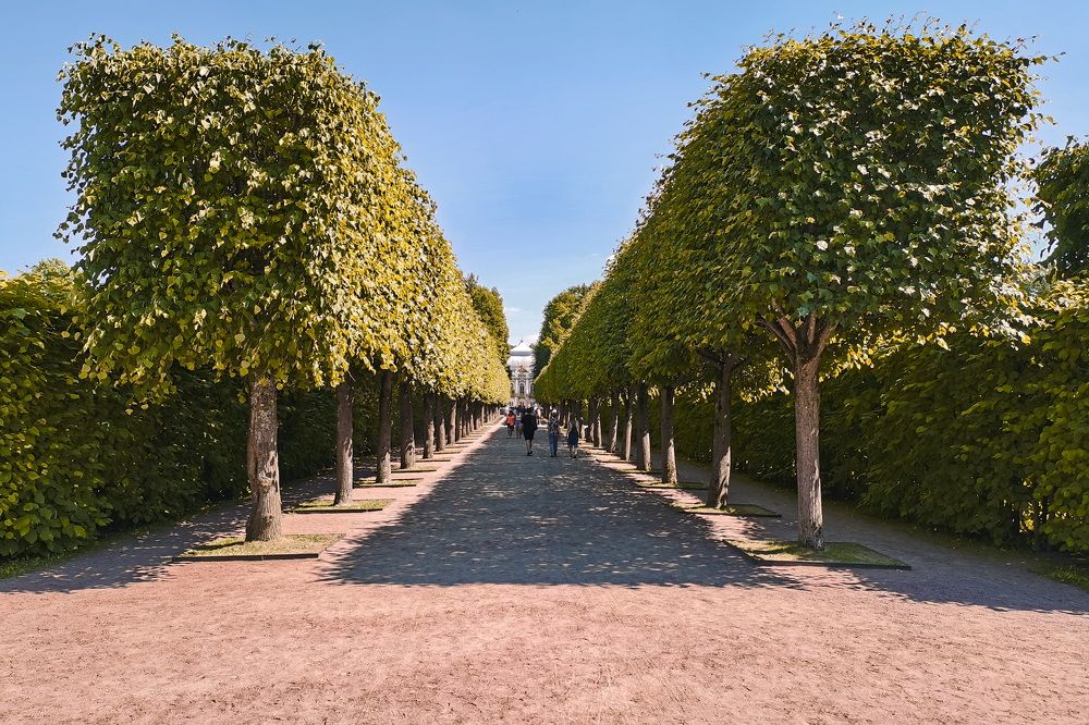 Фотография автора Анатолий Дауров