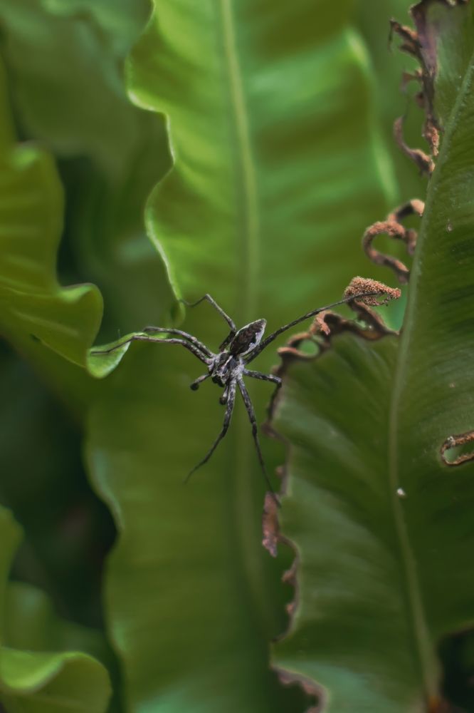 Photograph by Екатерина Абатурова