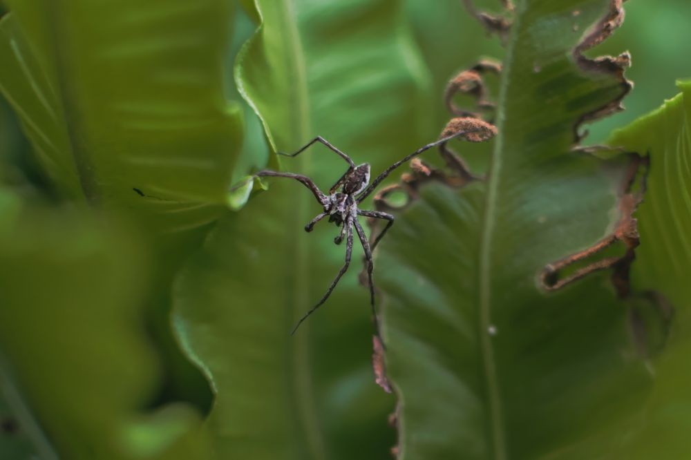 Photograph by Екатерина Абатурова