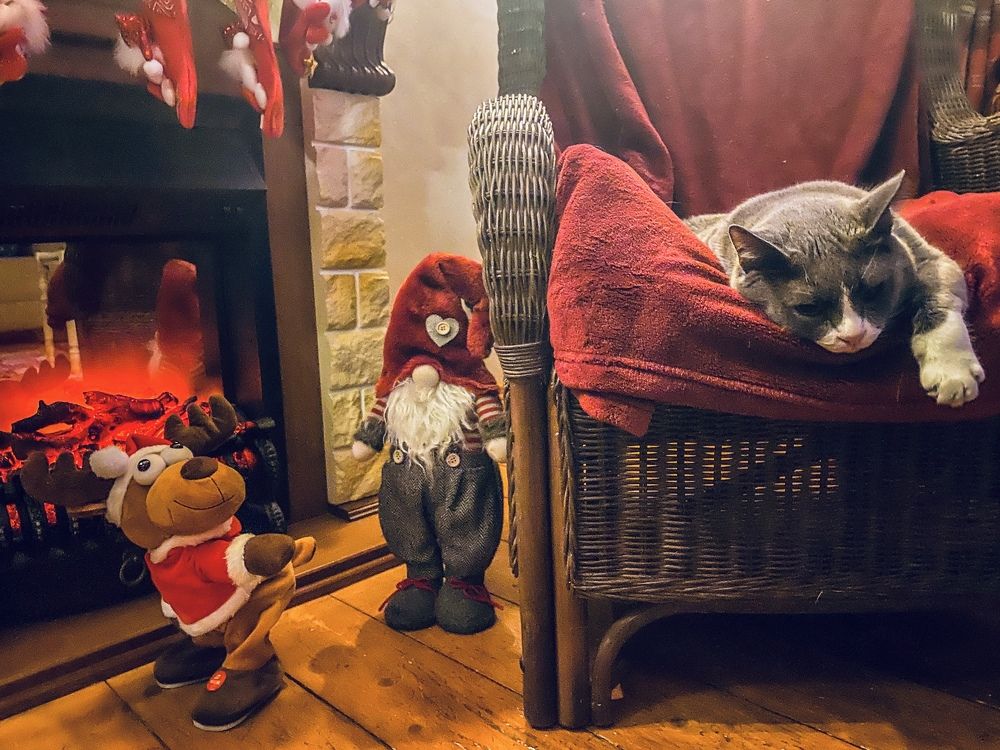 Photograph by Pavel S