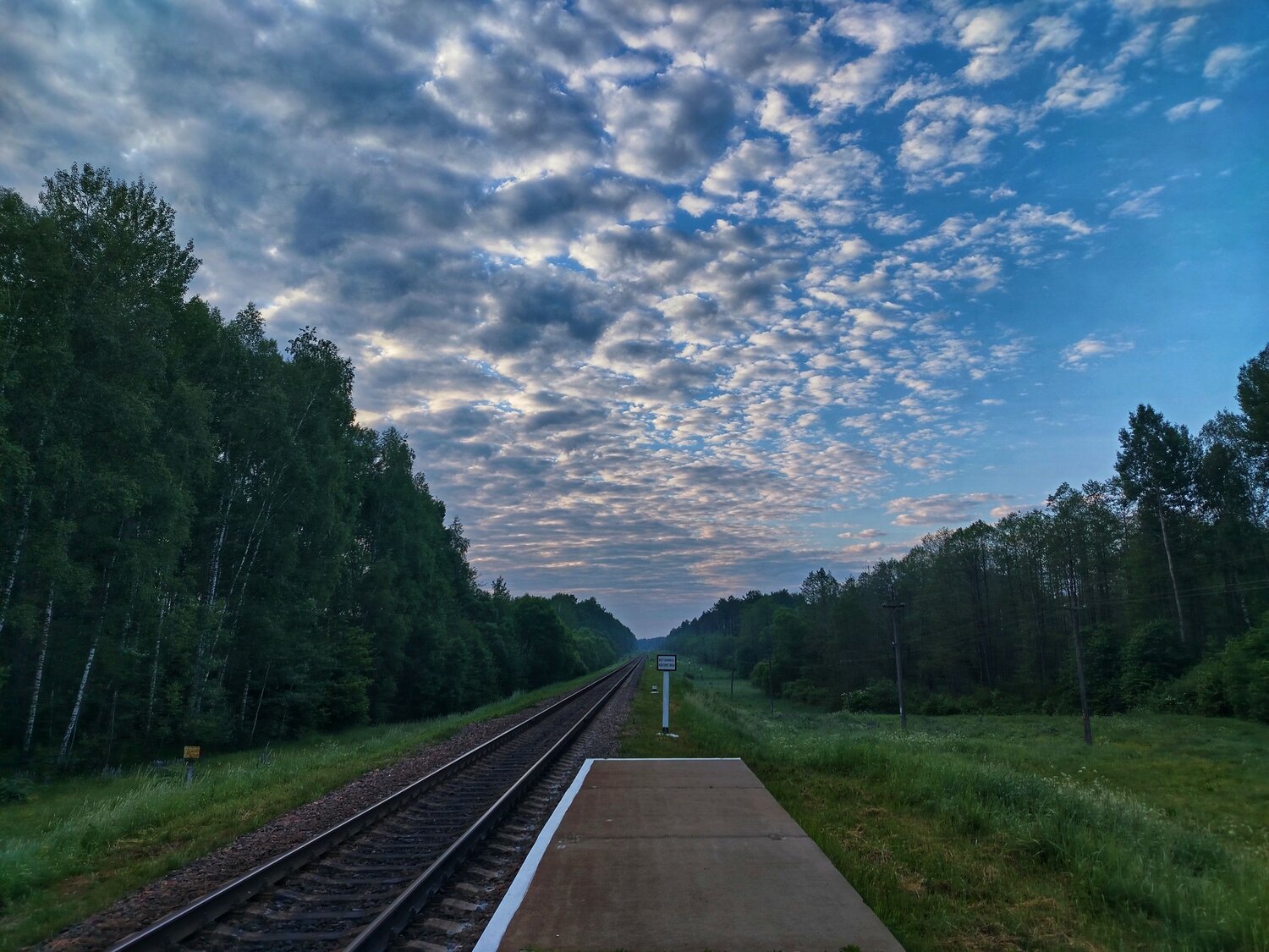 Photo #10646106