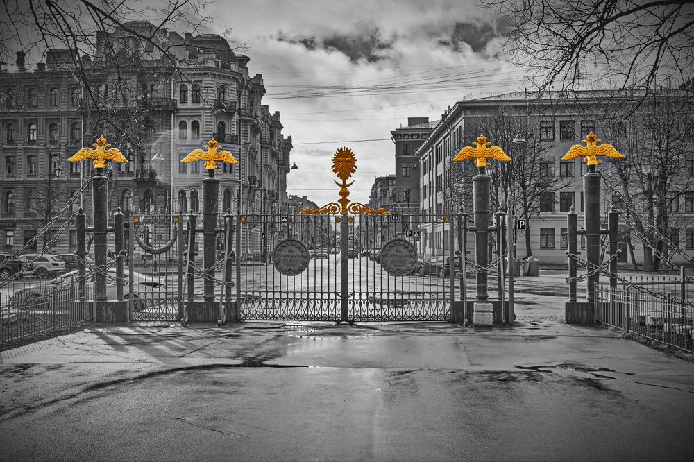 Фотография автора Анатолий Дауров