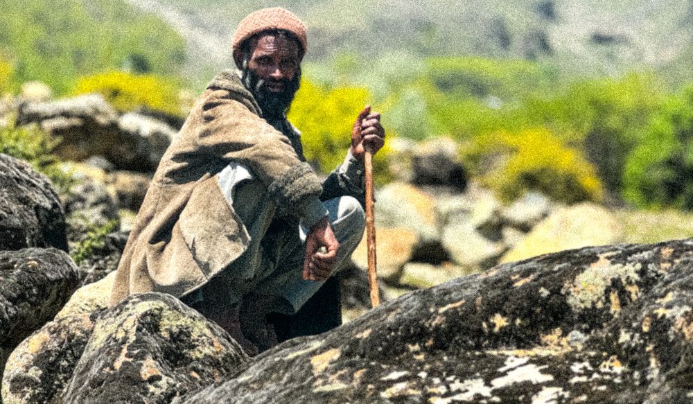 Photograph by Musaib iqbal bhat