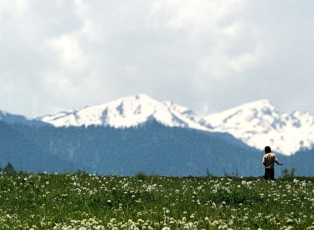 Nature’s Little Explorers