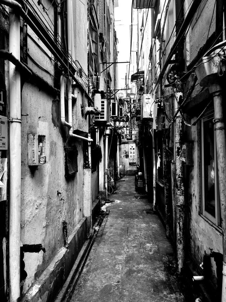 Фотография автора Liudmila Kiermeier