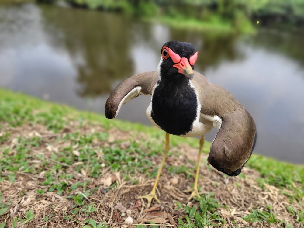 Photograph by Muhammed fazeel A.m.fazeel