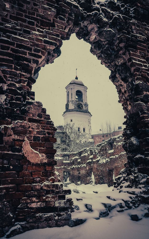 Photograph by Алена Лосева