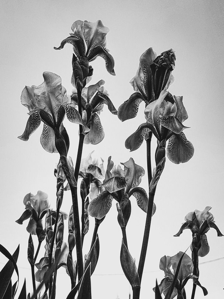 Фотография автора Артемий Бикеев