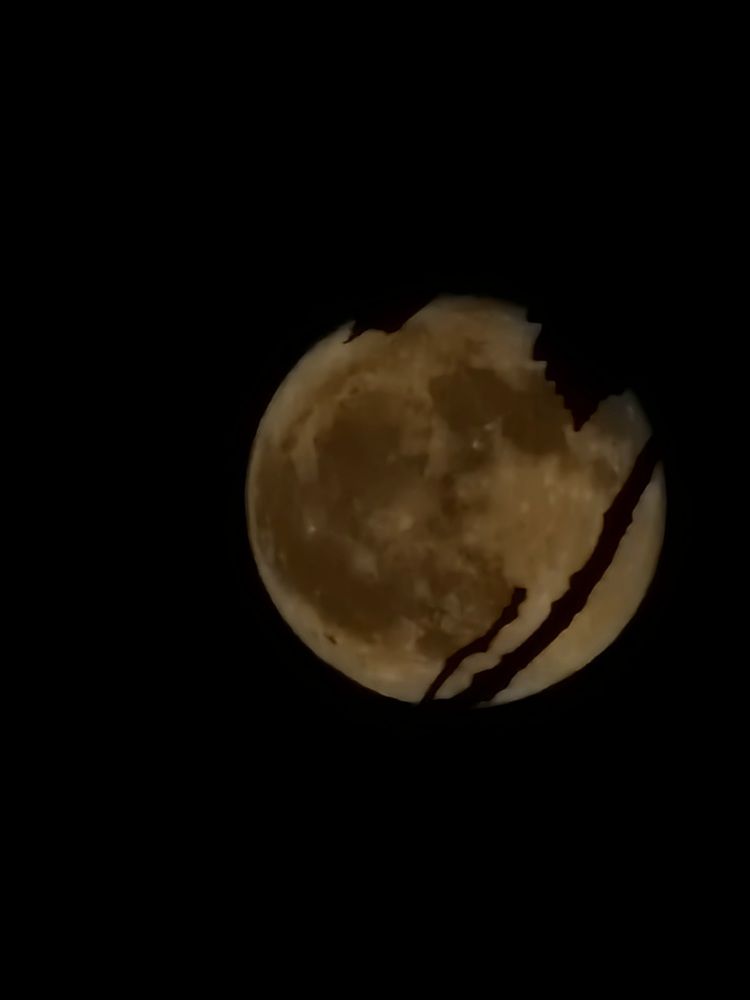 Photograph by Мария Стремина