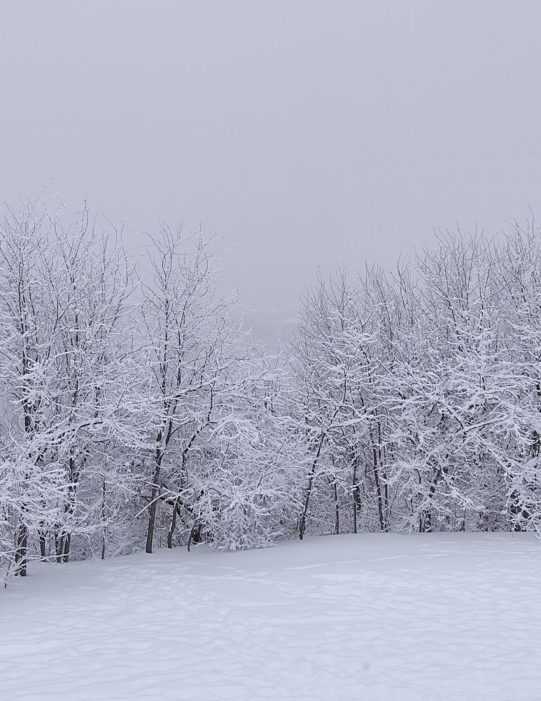 Photograph by Александра