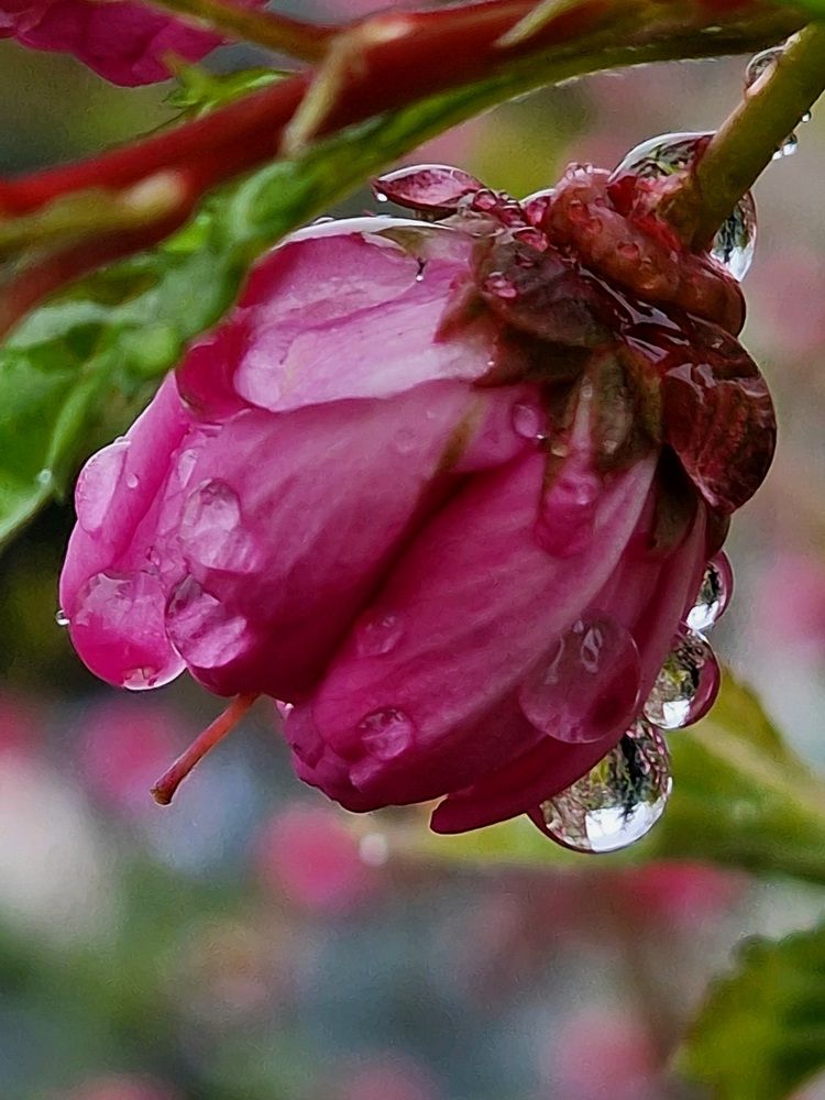 Photograph by Мария Стремина