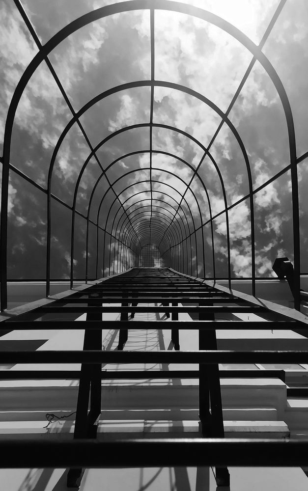 Photograph by Татьяна Лихачева