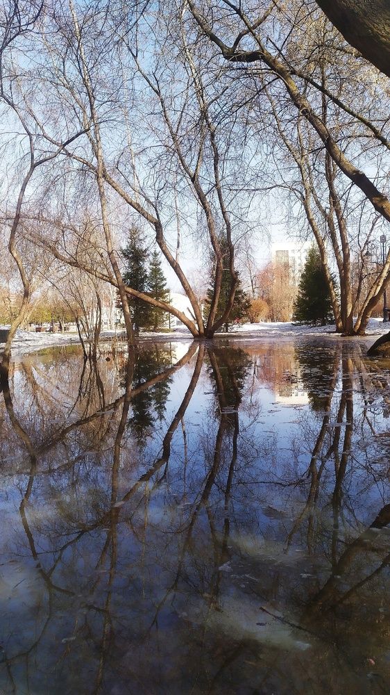 Photograph by Татьяна Лихачева