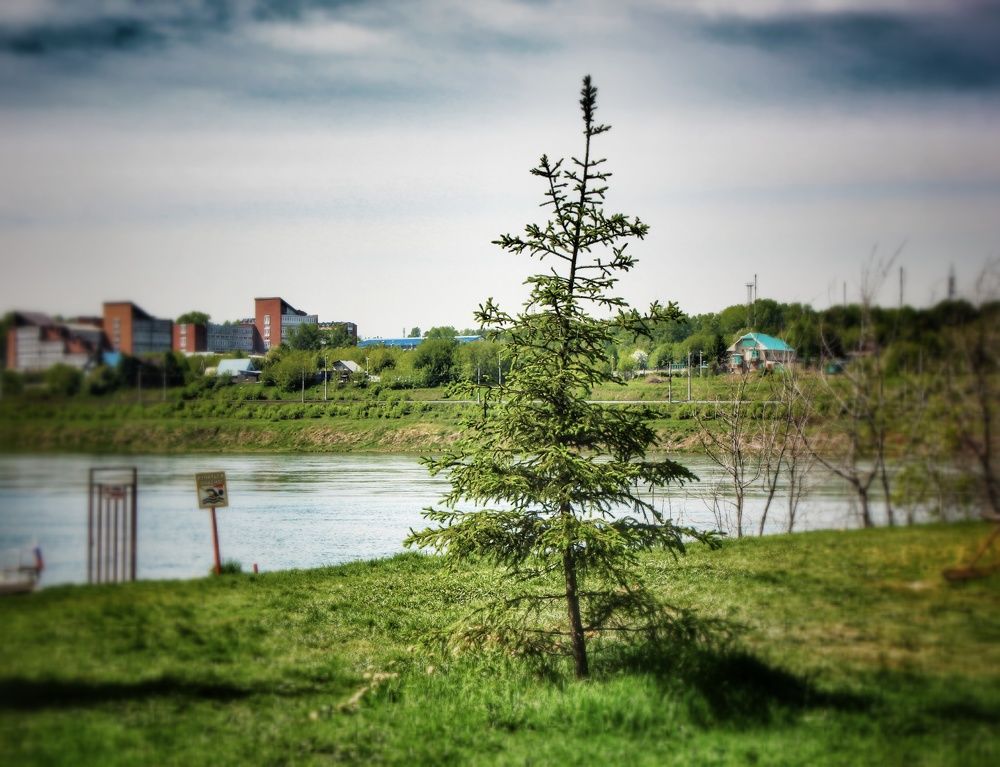 Photograph by Владимир Сушкин