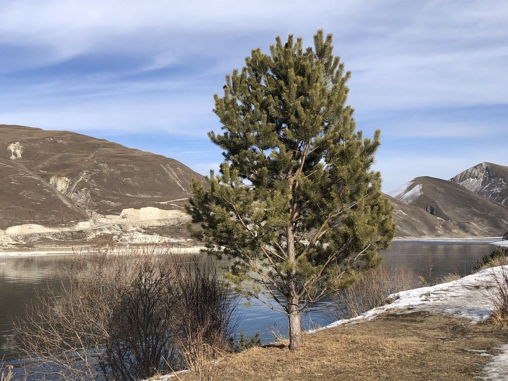 Photograph by Ольга Ильина