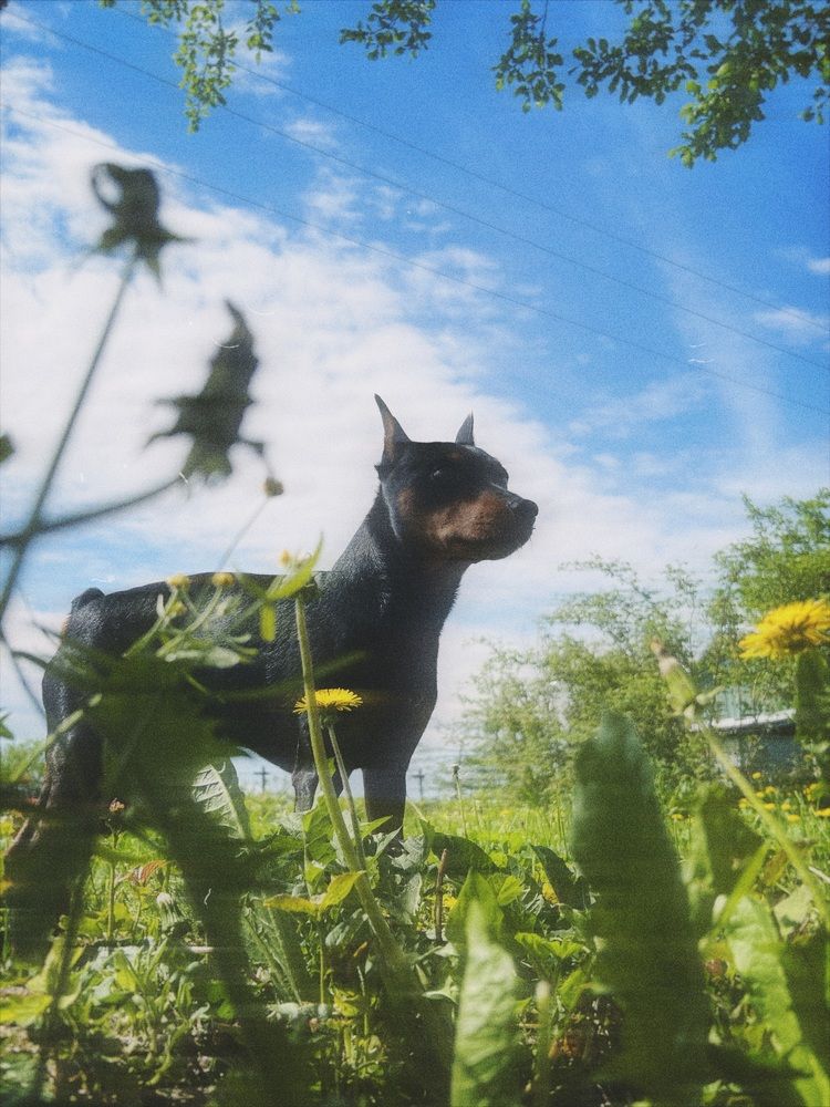 Photograph by Ирина Артюх