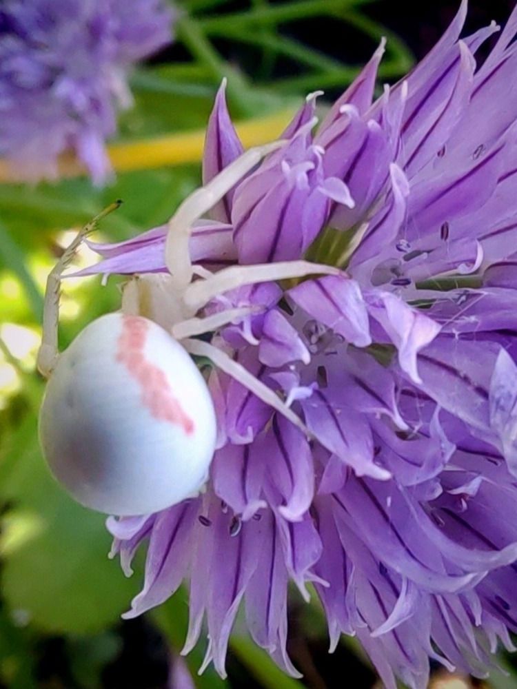 Photograph by Куделенко Оксана