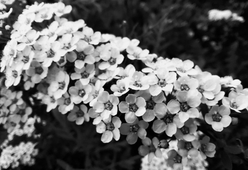 Photograph by Куделенко Оксана