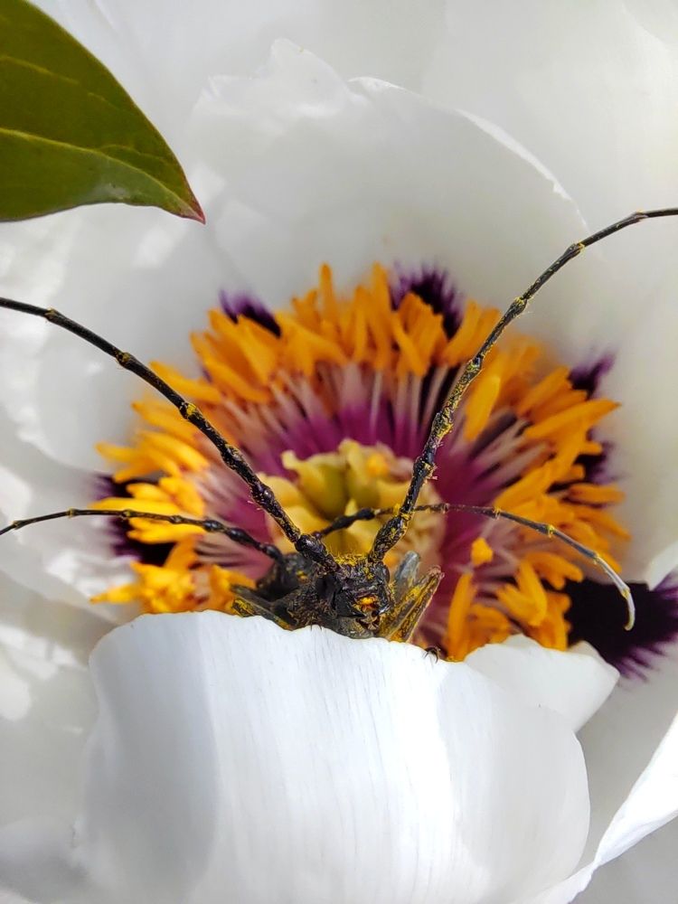 Photograph by Куделенко Оксана