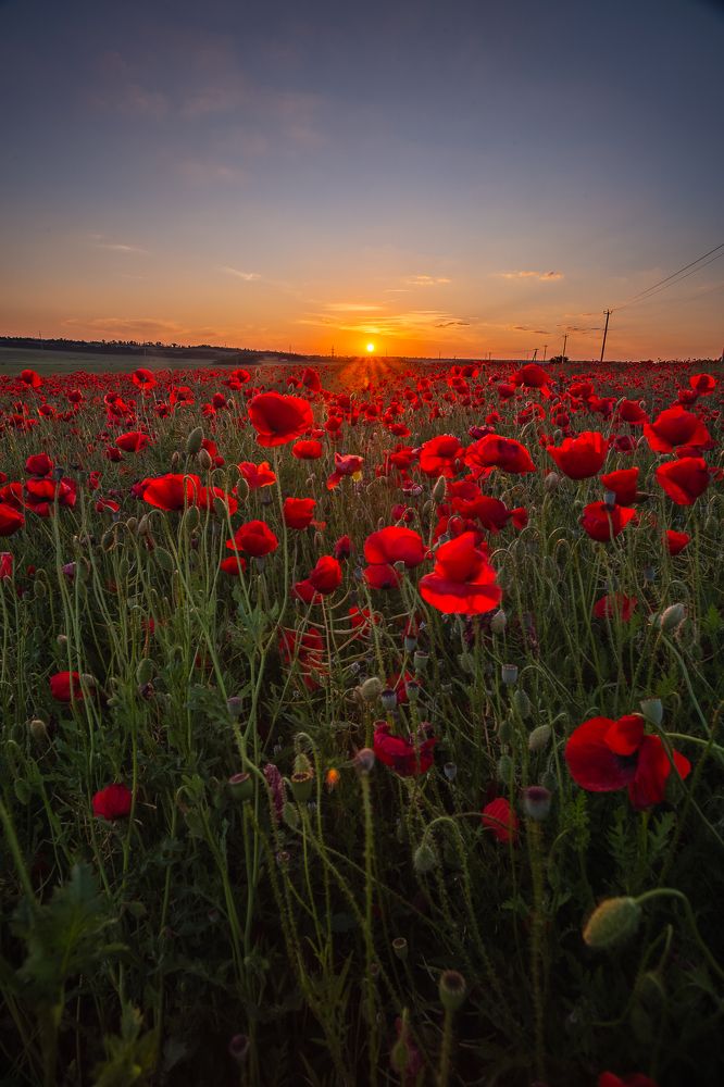 Photograph by Филипп Бабенко