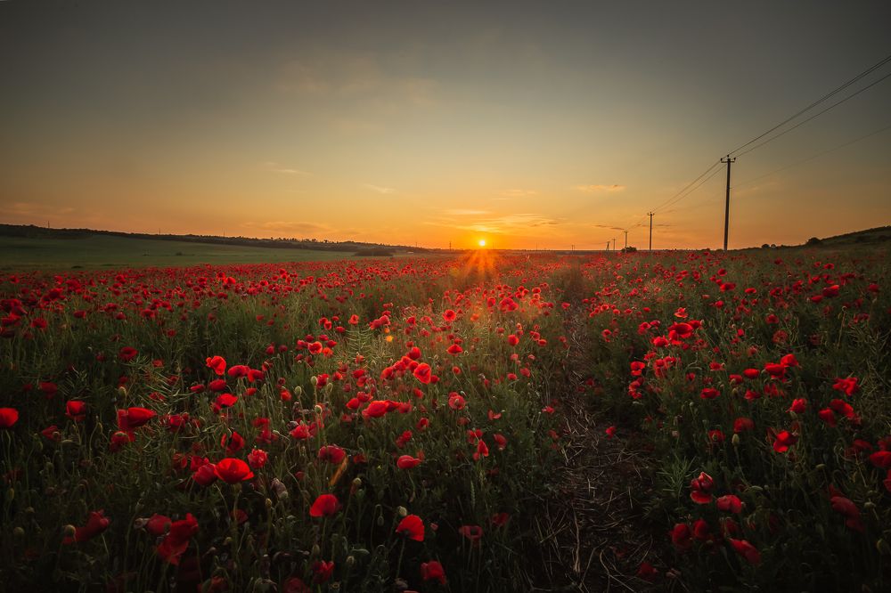 Photograph by Филипп Бабенко