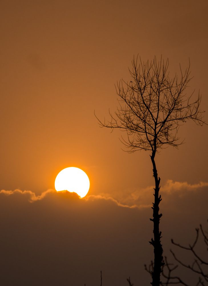 Photograph by Muneeb Najar