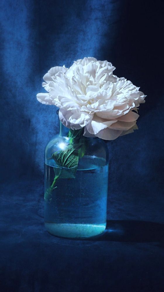 Photograph by Наталья Чикулаева