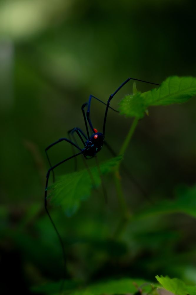 Photograph by Abdollah Fallah