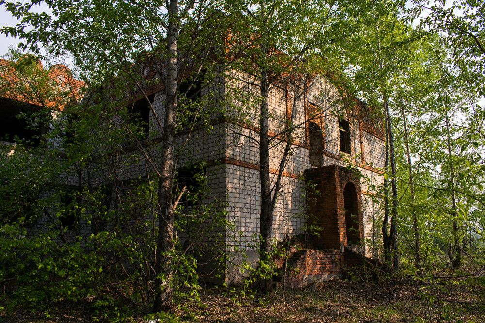 Photograph by Ольга Одинцова